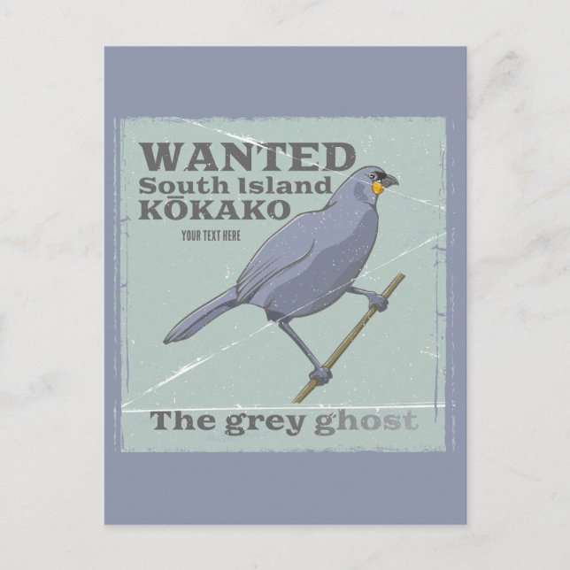 Wanted South Island Kokako Postcard (Front)