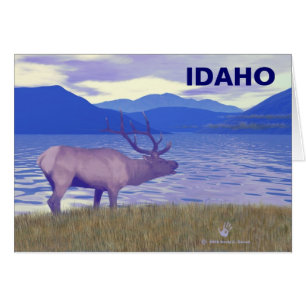 Wapiti (Elk) By The Lake