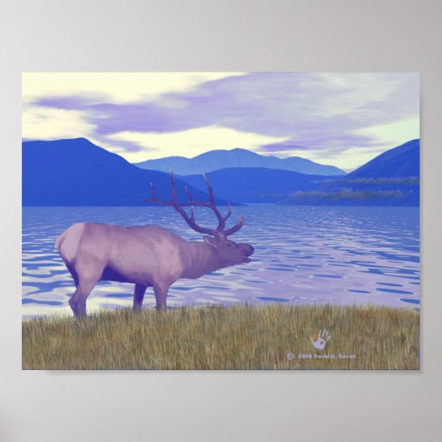 Wapiti (Elk) By The Lake Poster (Front)