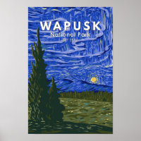 Wapusk National Park Northern Lights Vintage
