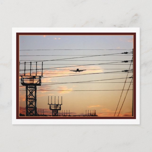 War Bird Postcard (Front)