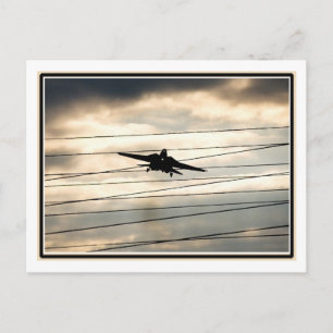 War Bird Postcard