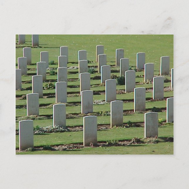 War graves in the Somme Postcard (Front)