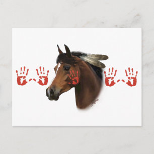War Horse Postcard