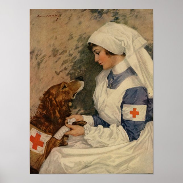 War Nurse with Golden Retriever 1917 WW1 Poster (Front)