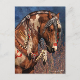 War Pony Postcard