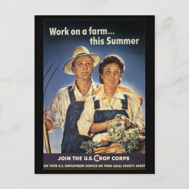 War Work Effort - Work posters - Crop Corps Postcard (Front)