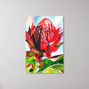 Waratah Australian native flower watercolor Canvas Print