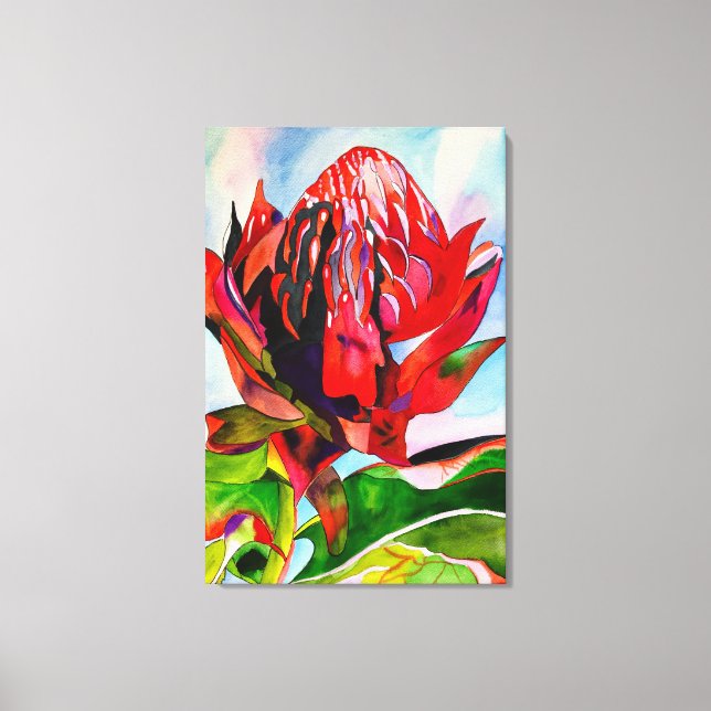 Waratah Australian native flower watercolor Canvas Print (Front)