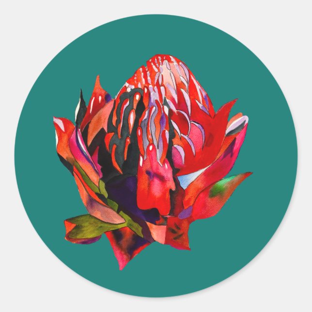 Waratah Australian native flower watercolor Classic Round Sticker (Front)