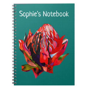 Waratah Australian native flower watercolor Notebook