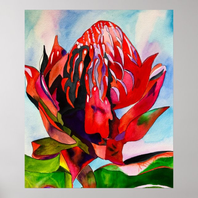 Waratah Australian native flower watercolor Poster (Front)