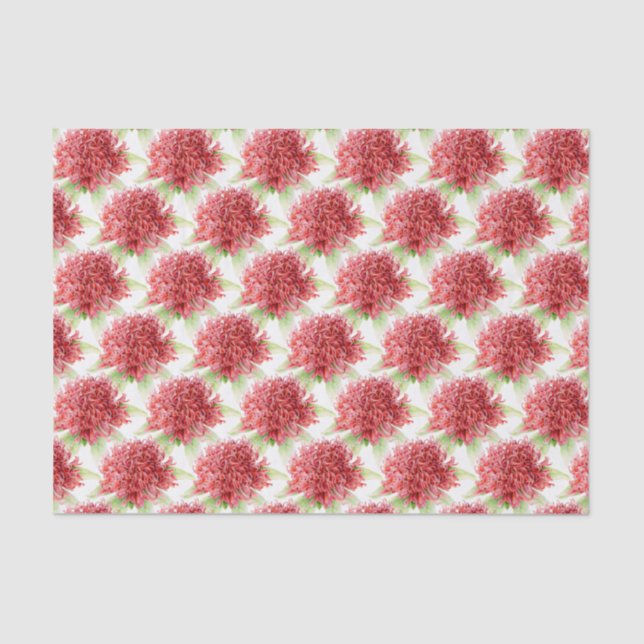 Waratah flower watercolor red botanic tissue paper (Front)
