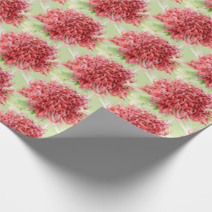 Waratah red botanica watercolor art wrap wrapping paper