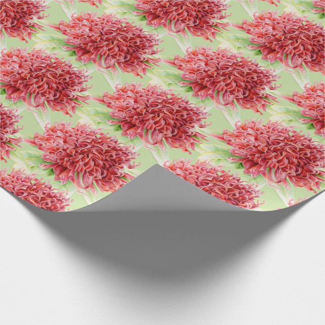 Waratah red botanica watercolor art wrap wrapping paper (Corner)