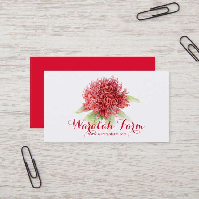 Waratah red flower art farm business card (Front/Back In Situ)