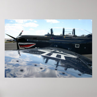 Warbird Poster