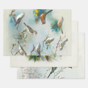 Warbler and Wrens, Wrapping Paper Sheet