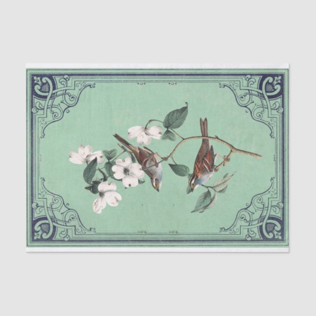Warbler Bird on White Dogwood Green French Frame  Tissue Paper (Front)