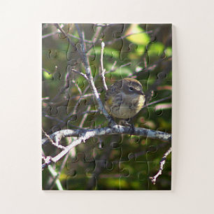 Warbler Bird Photo Puzzle 