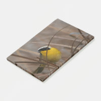 Warbler Bird Wildlife Photography Post It Notes