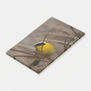 Warbler Bird Wildlife Photography Post It Notes