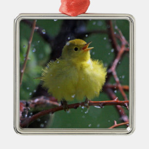 Warbler Metal Tree Decoration