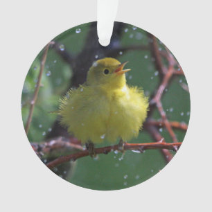 Warbler Ornament