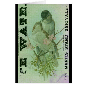Warbler Vintage