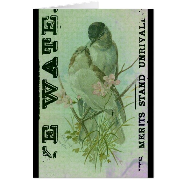 Warbler Vintage (Front)