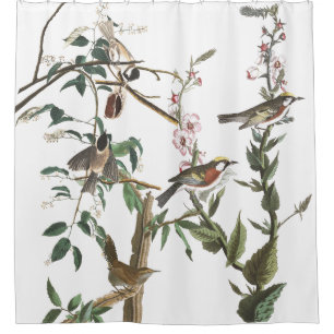 Warbler Wren Birds Audubon Wildlife Shower Curtain