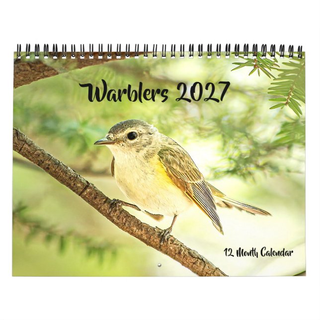 Warblers 2027 Wall Calendar (Cover)
