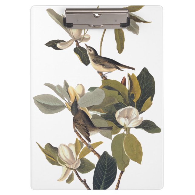 Warbling Flycatcher Kingbirds Vintage Audubon Clipboard (Front)