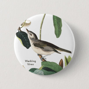 Warbling Vireo John James Audubon Birdwatcher Bird 6 Cm Round Badge