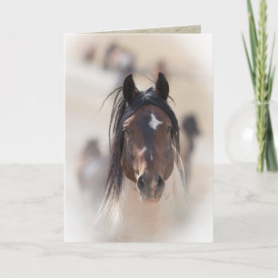 Warbonnet's Pride Wild Horse Greeting Card