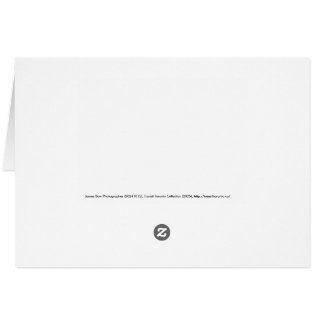 Warden Woods Autumn Sky Subway Thank You Card