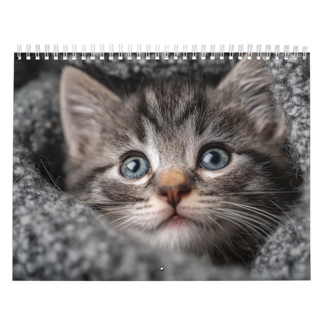 Warm Aesthetic Animal | Cozy Cat Photography Wall Calendar (Cover)