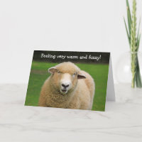 Warm And Fuzzy Sheep Birthday