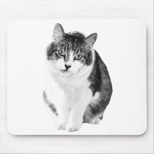 Warm Calm Focus Mouse Mat