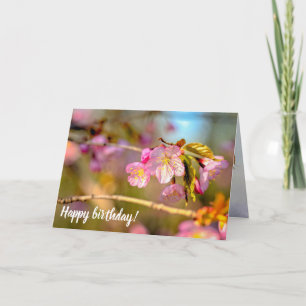 Warm Colours Of Sakura Flowers In Hanami Season Card