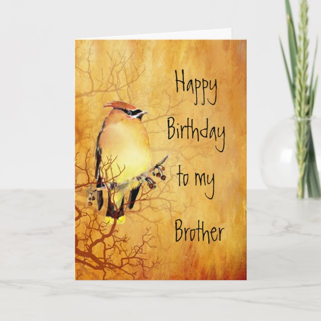 Warm Copper Cedar Waxwing Bird Brother Birthday Card (Front)