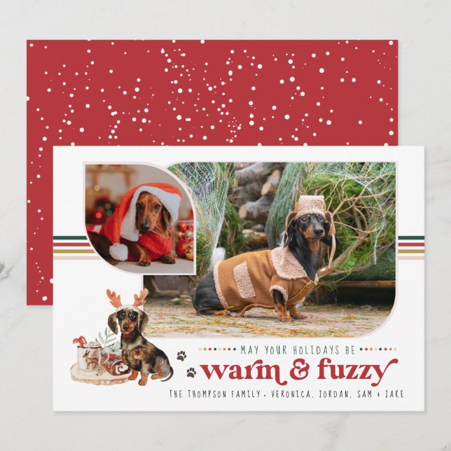 Warm & Fuzzy | Pet Holiday Photo Card (Front/Back)