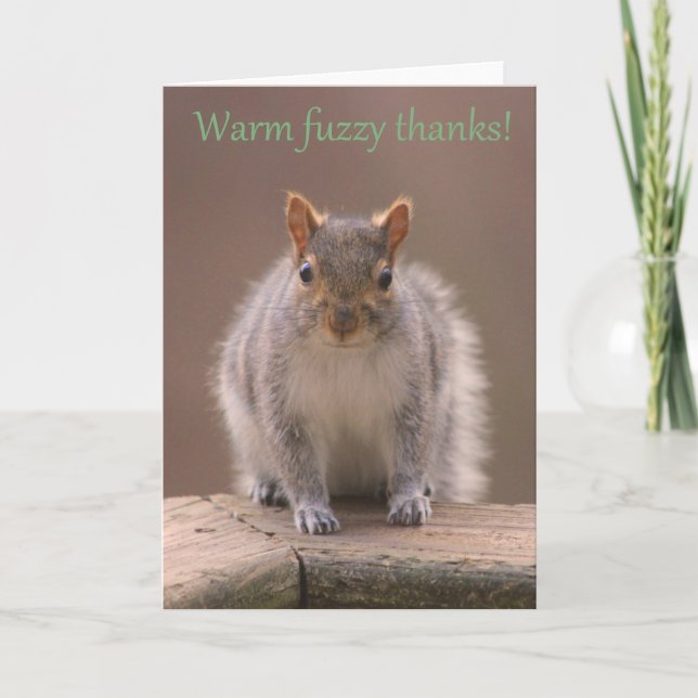 Warm fuzzy squirrel thank you! thank you card (Front)