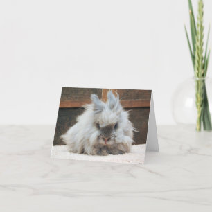 "Warm & Fuzzy Thank You!" Thank You Card