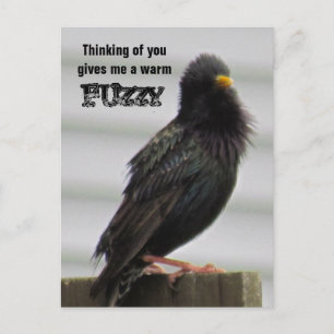 Warm Fuzzy - Thinking of You Postcard