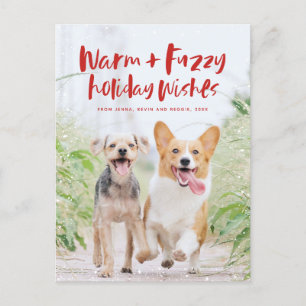 Warm fuzzy wishes holiday pet photo postcard