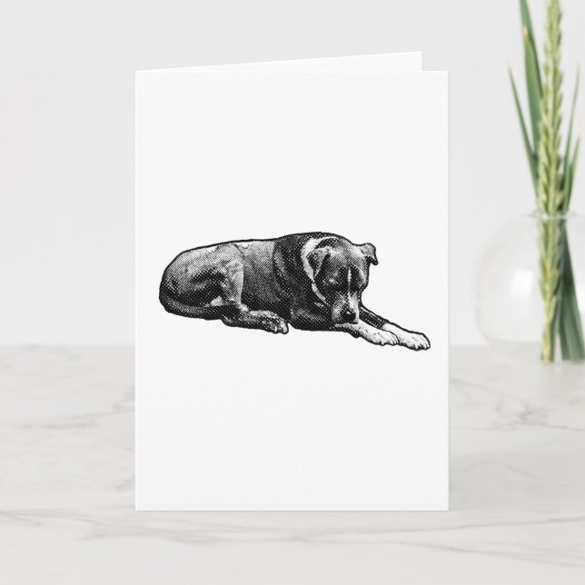 Warm Gaze Dog Card (Front)