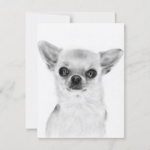 Warm Gaze - Hand Painted Chihuahua Artwork Postcard