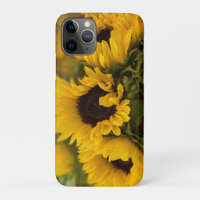 Warm Golden Sunflower Custom