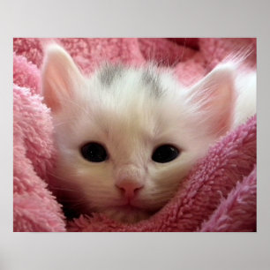 Warm Kitten in a Blanket Poster